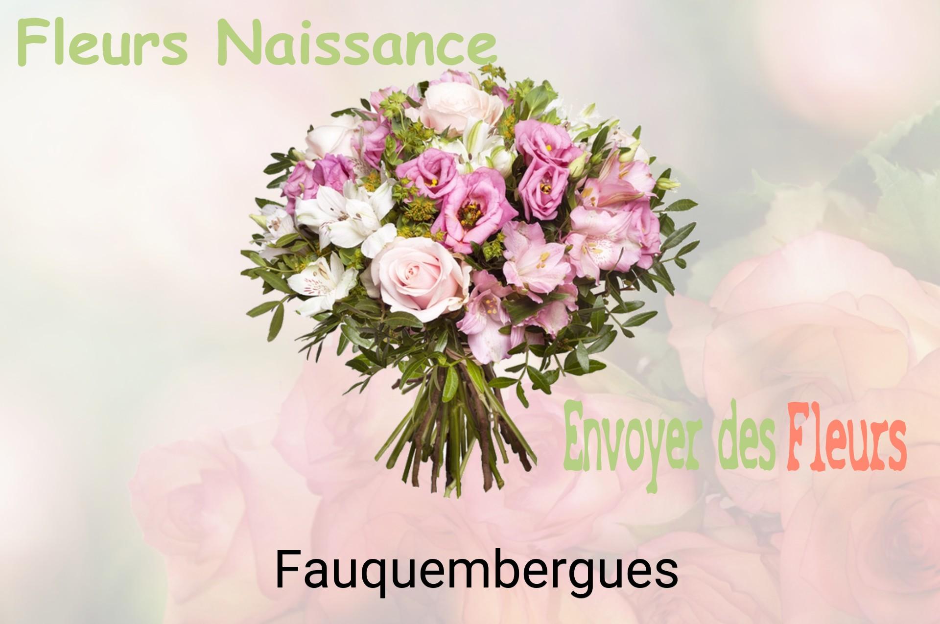 Bouquet de fleurs de naissance livré à Fauquembergues